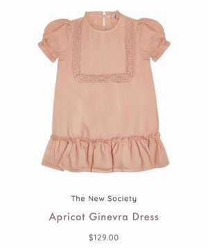 The New Society Ginevra Dress Apricot Size 12 NWT